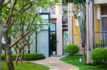 ④植栽・植木の手入れ